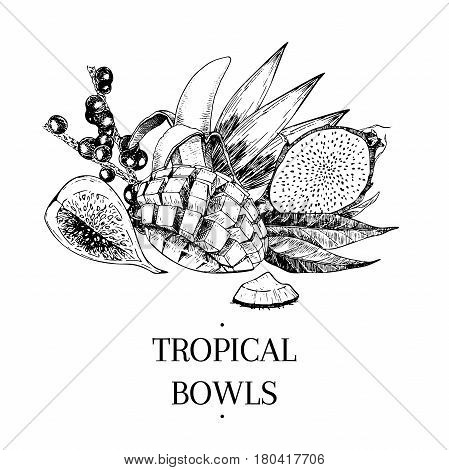 Vecotr hand drawn exotic fruits. Engraved smoothie bowl ingredients. Tropical sweet food. Fig acai mango banana pitaya coconut. Use for exotic restaurant food partty