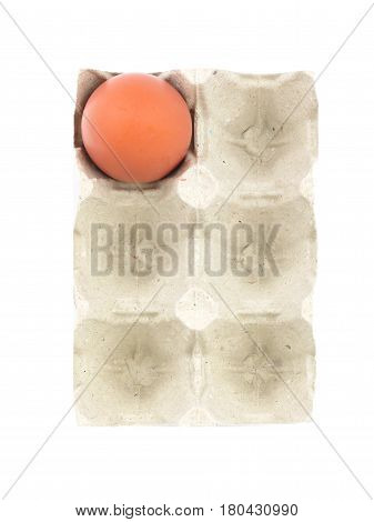 Single Organic egg in paperboard egg cartons isolated on white