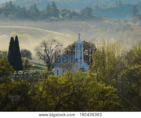 Church sitting amongst the trees with fog behind