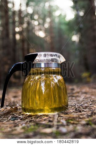 Kettle with tea on a picnic in forest