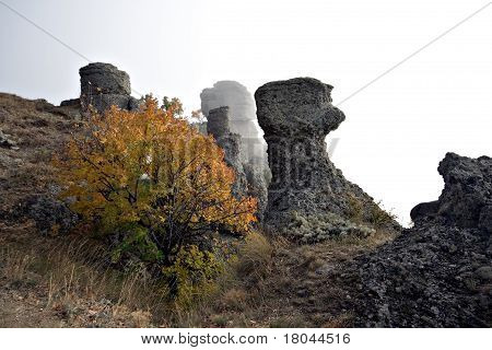 Rock kolommen en bush in mist, Crimea bergen, Demerdgi. Oekraïne.