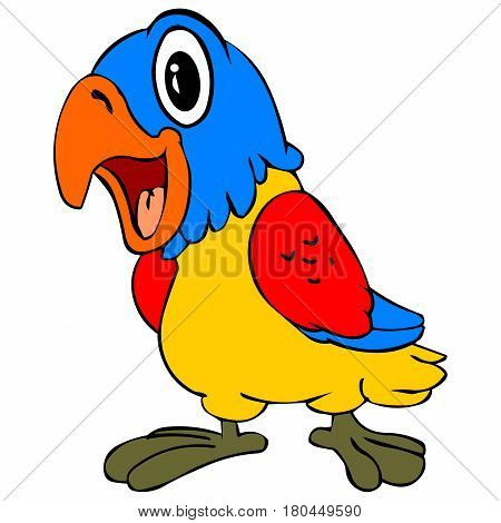 color full young parrot happy talking and walking red bule yellow