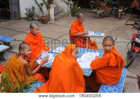 Young Monks Studying At Wat Xieng Thong Temple