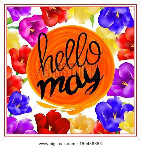 Lettering Hellow May. Sun Orange. Background With Colorful Flowers Tulip Isolated On White Backgroun