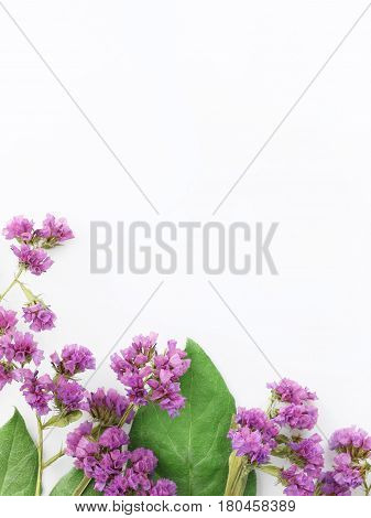 Violet dry flowers and green leafs frame post on white background