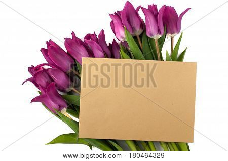 Blank Greeting Card And Envelope With Purple Tulips Over White Isolated Background