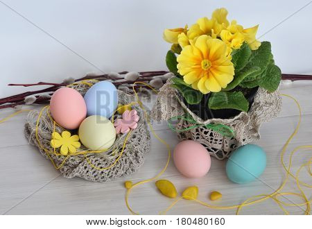 Primrose flowers with Easter eggs In a nest of knitted wool, willow branches.