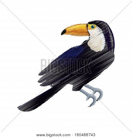 tucan exotic bird icon image vector illustration design