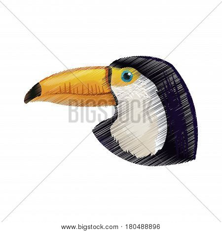 tucan exotic bird icon image vector illustration design