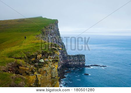 Beautiful vibrant view of the edge of the world, westernmost point in Europe, Iceland, Latrabjarg, looking like faroe islands, Moher Cliffs with atlantic puffins and other birds