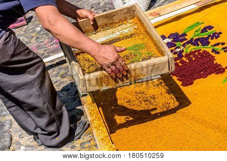 Antigua, Guatemala - March 26 2017: Local sifts dyed sawdust to make Lent carpet for procession in colonial town with most famous Holy Week celebrations in Latin America.