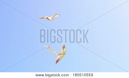 Flight and Vaulting of the kites in the Blue Sky