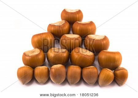 hazelnuts ขนาดแตกต่างกัน