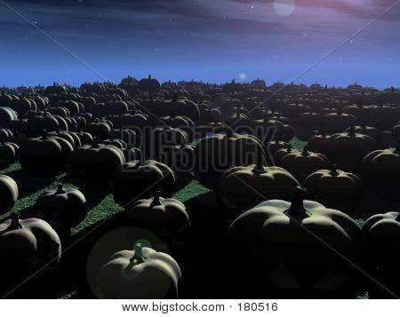 Pumpkin Patch