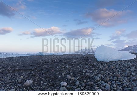 Ice cube breaking on black rock beach with blue sky background Iceland winter season landscape