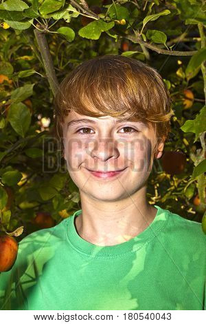 Cute Smart Boy In The Garden Under The  Tree