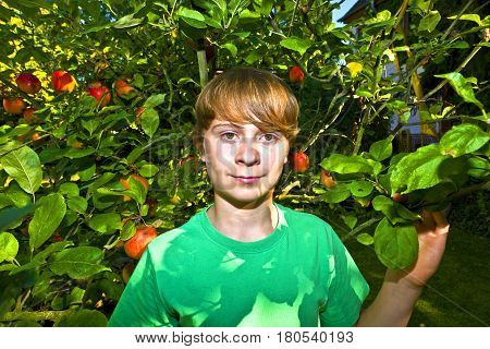 Cute Smart Boy In The Garden Under The  Tree