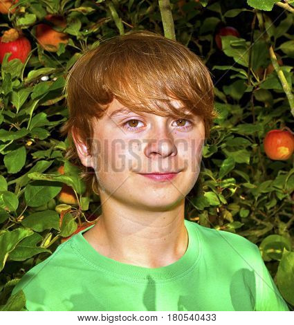Cute Smart Boy In The Garden Under The  Tree