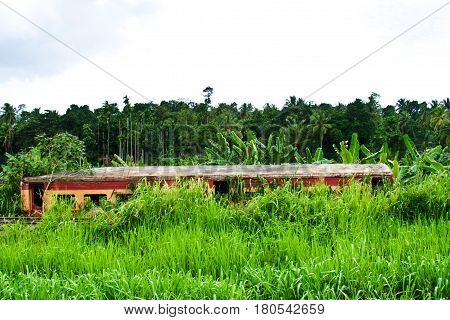 old trains near the rails at the mountain track from Nuwarelia to Colombo