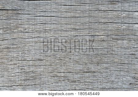 Detailed texture of an old piece of grey wood. Background.