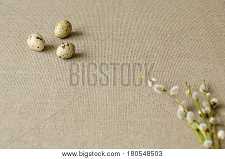 Three quail eggs with twigs of willow on a linen tablecloth. Selective focus. Space for text