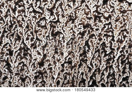 patterns of coffee grounds on a white background, closeup