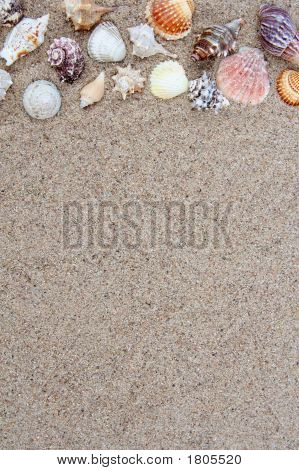 Shell