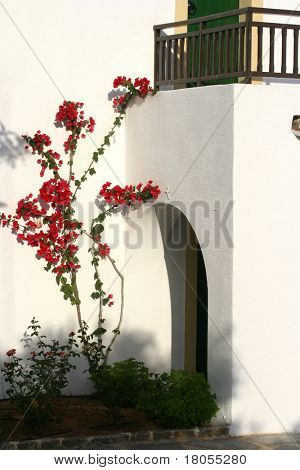 Casa de piedra de blanco lavado con arco de la puerta de entrada y balcón, bougainvillea crece por la pared.