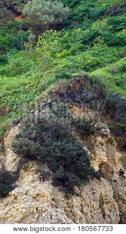 Rocks Of Prainha