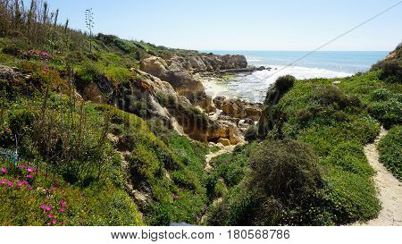 Green Coast