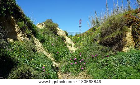 Green Coast