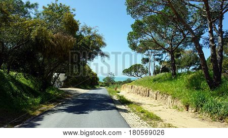 Green Coast