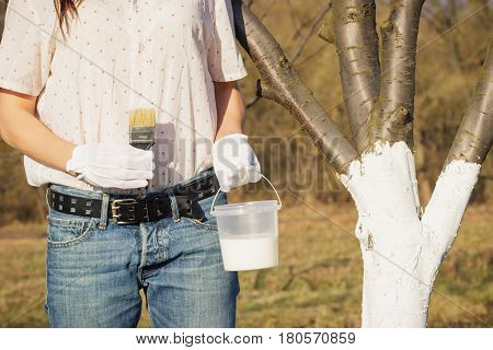 Spring Protection Of Fruit Trees In The Garden