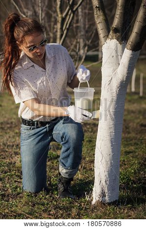Spring Protection Of Fruit Trees In The Garden