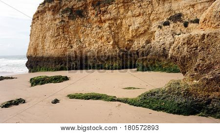 Rocks On The Beach