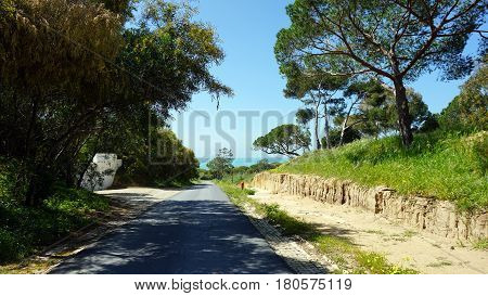 Green Coast