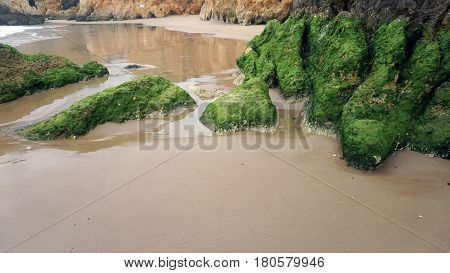 Rocks On The Beach