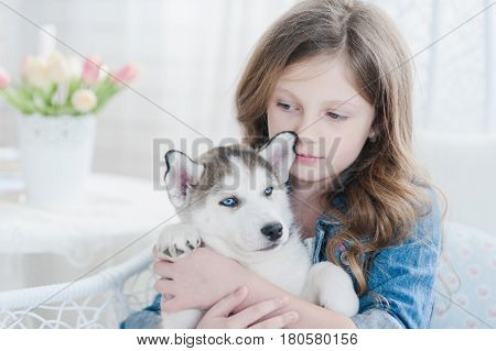 Little Girl Hugging A Puppy Husky