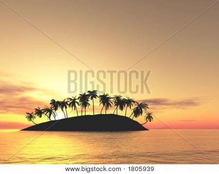 Palms Over Sunset