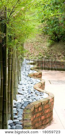 Line of beautiful dwarf bamboo surrounded by pebbles in a landscape garden