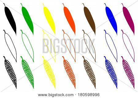 Willow - leaf vector illustration , Willow  leaf