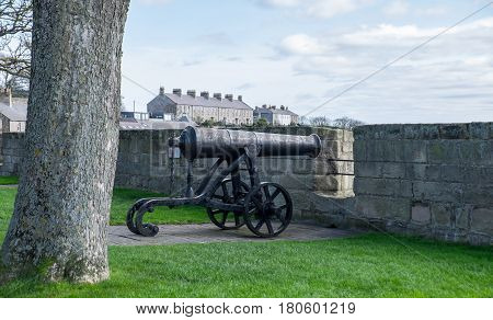 Cannon on the ramparts at Berwick upon Tween Northumberland UK