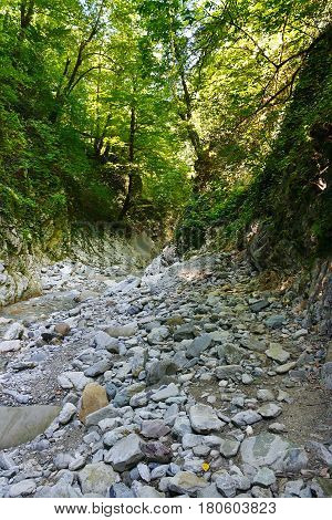 Fair mountain creek among the southern forests