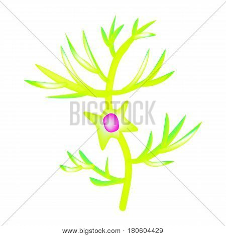 The structure of the pyromidal neuron. Nerve cell. Infographics. Vector illustration on isolated background.