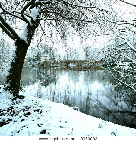 冷和和平冻的湖在寒冬时节，被雪覆盖树包围着。