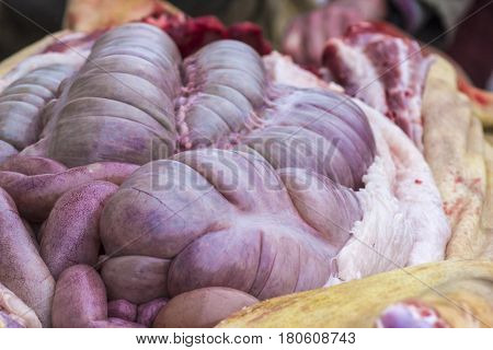 Guts inside a cut pig. Chitterlings raw