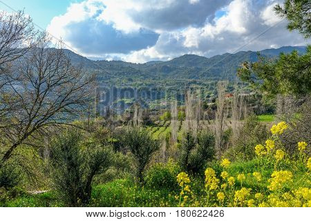 Troodos mountain , a view of the valley on the way up.   Taken in spring on a bright sunny day.