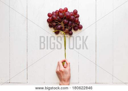A bunch of grapes tied with a ribbon in a woman's hand on a white wooden background. View from above. Grapes like balloons. The concept of easy and healthy food.
