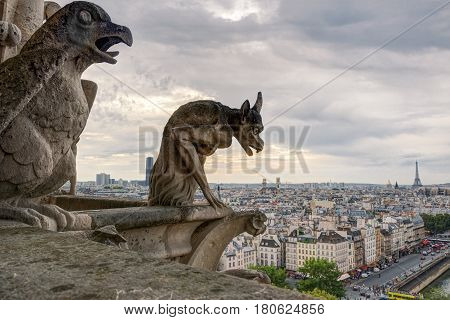 Chimera (gargoyles) of the Cathedral of Notre Dame de Paris overlooking the Eiffel Tower in Paris, France