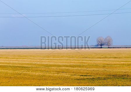Rural Italian Landscape From Po River Lagoon.
